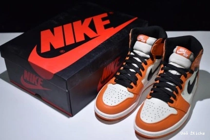 Reverse Shattered - Retro Jordan Backboard Durable 555088-113 1 321 0824